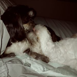 Meet your Posher, María-morfin